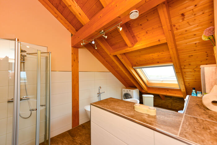Dusche und Waschmaschine im Bad